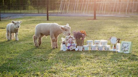 1818 farms - Jul 11, 2022 · Natasha McCrary runs 1818 Farms in Mooresville, where she grows cut and dried flowers, raises animals, and hosts workshops. Learn how she started the farm, adapted to the pandemic, and shares her passion for natural beauty and education. 